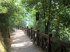 -广州市流溪河国家森林公园