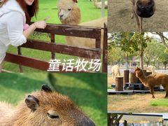 -盈香心动乐园