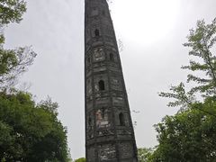 -上海佘山国家森林公园天马山园