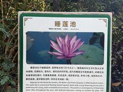 -野象谷景区