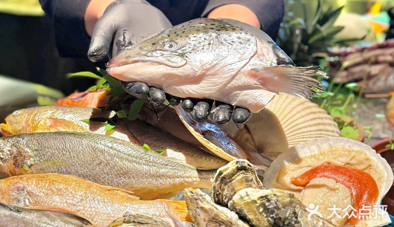 巨鹿路，暗黑系，明星私藏的DJ日料，太会玩