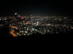 -东京都厅舍