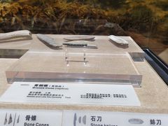 -烟台市博物馆