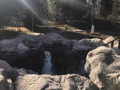 -和园景逸大酒店朗月汤泉