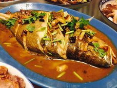 -海派美食·家宴海鲜青岛菜·石锅鲽鱼头(东方城店)