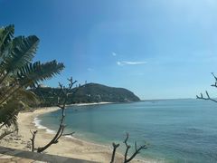-日落吧·海景咖啡厅·餐酒吧·鸡尾酒·下午茶·乐队表演·浪漫夕阳·三亚文华东方酒店