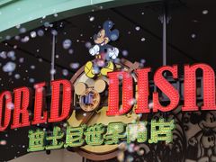 -迪士尼小镇