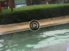 -庐山天沐温泉度假村