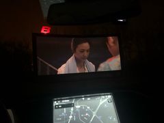 -枫花园汽车电影院(朝阳公园店)