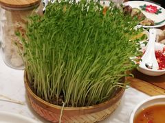 鲜豆苗-廣順興(天明路店)