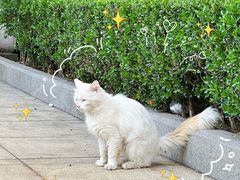 -复旦大学附属华山医院(总院)