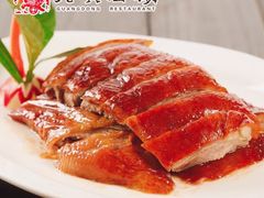 -老广酒楼(樱花店)