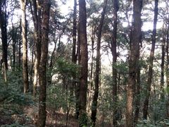 -昆明滇池国家级风景名胜区西山景区