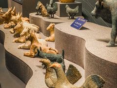 -广西壮族自治区博物馆