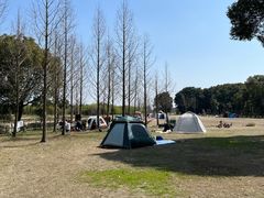 景点-嘉北郊野公园