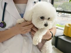 -谐和贝康宠物医院24小时·宠保定点(急重症转诊中心)