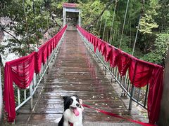 -黄山翡翠谷景区
