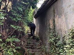 -宁波市保国寺古建筑博物馆