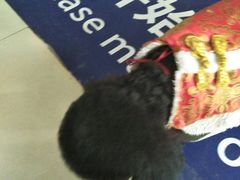 -宠颐生·恒爱宠物医院(静海店)