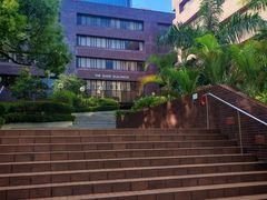 -香港大学