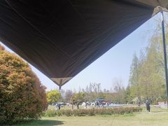 -上海滨江森林公园
