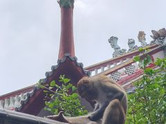 -黔灵山公园