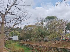-红山村