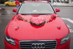 -艾米婚纱&婚礼策划