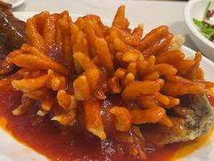 -刘胖子家常菜·蹄花焖藕(中南店)
