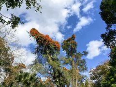 -海南热带野生动植物园
