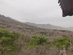 -北京鹫峰国家森林公园