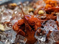 夏季冰镇龙虾-王红军龙虾(新民路店)