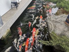 -贵阳高新惠诚食品有限公司