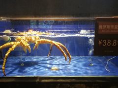 -徐记海鲜(陕西历史博物馆|明德门店)