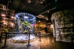 -Zoolung Zoolung动物主题公园(海信广场店)