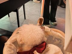 -鸣记脆皮烤鱼·海鲜烤鱼(三八广场店)