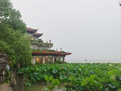 -湖畔居茶楼(湖滨店)