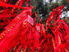 -泰山风景名胜区