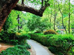 -西湖公园(鼓楼区)