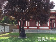 -法门文化景区