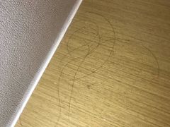 -青岛富力艾美酒店