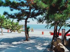 -北戴河碧螺塔海上酒吧公园