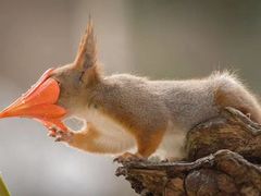 -优衣库(广州恒宝广场店)