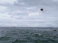 -月光岛