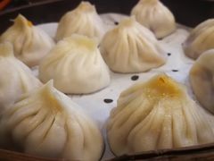 鲜肉小笼-大龙汤包