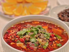 -蝶园·装修中(BFC外滩金融中心店)