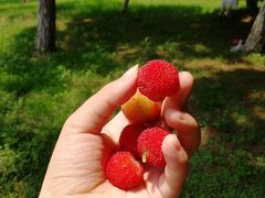 -艾溪湖湿地公园