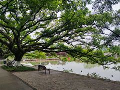 -江心屿景区