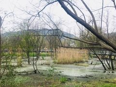 -西湖风景区-江洋畈生态公园