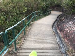 -南丫岛